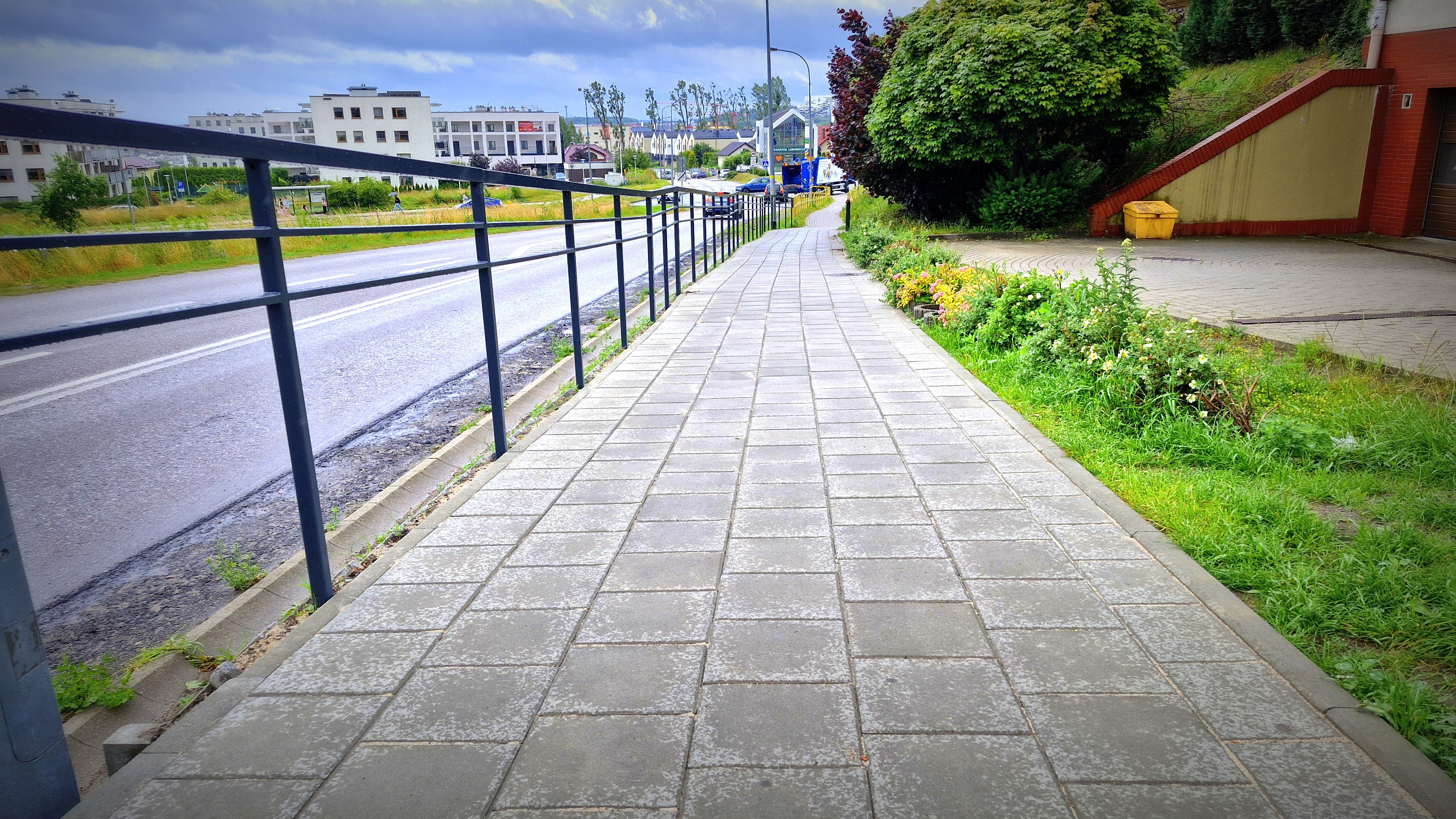 Leszczynowa 26 06 25 3