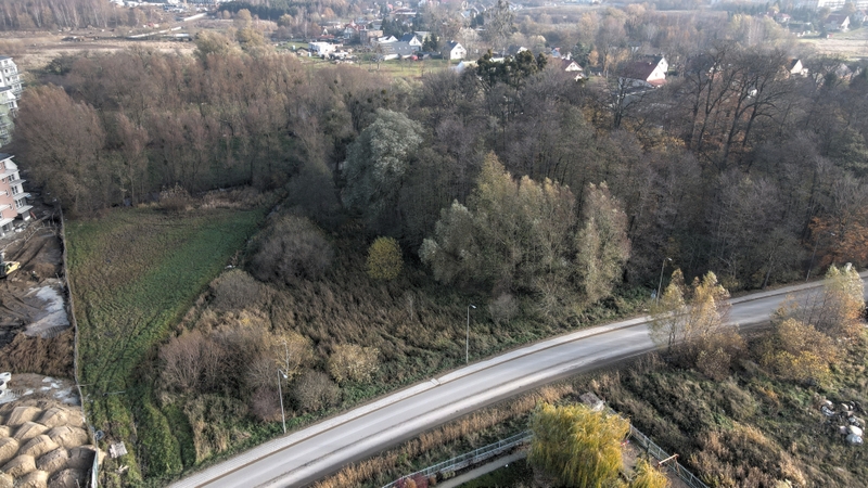 ParkPrzemian 12 11 21